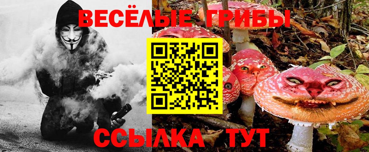 Галлюциногенные грибы Psilocybine cubensis  наркошоп  Йошкар-Ола  Вход с VPN 